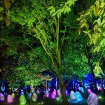 🌿チームラボ ボタニカルガーデン 大阪🌿