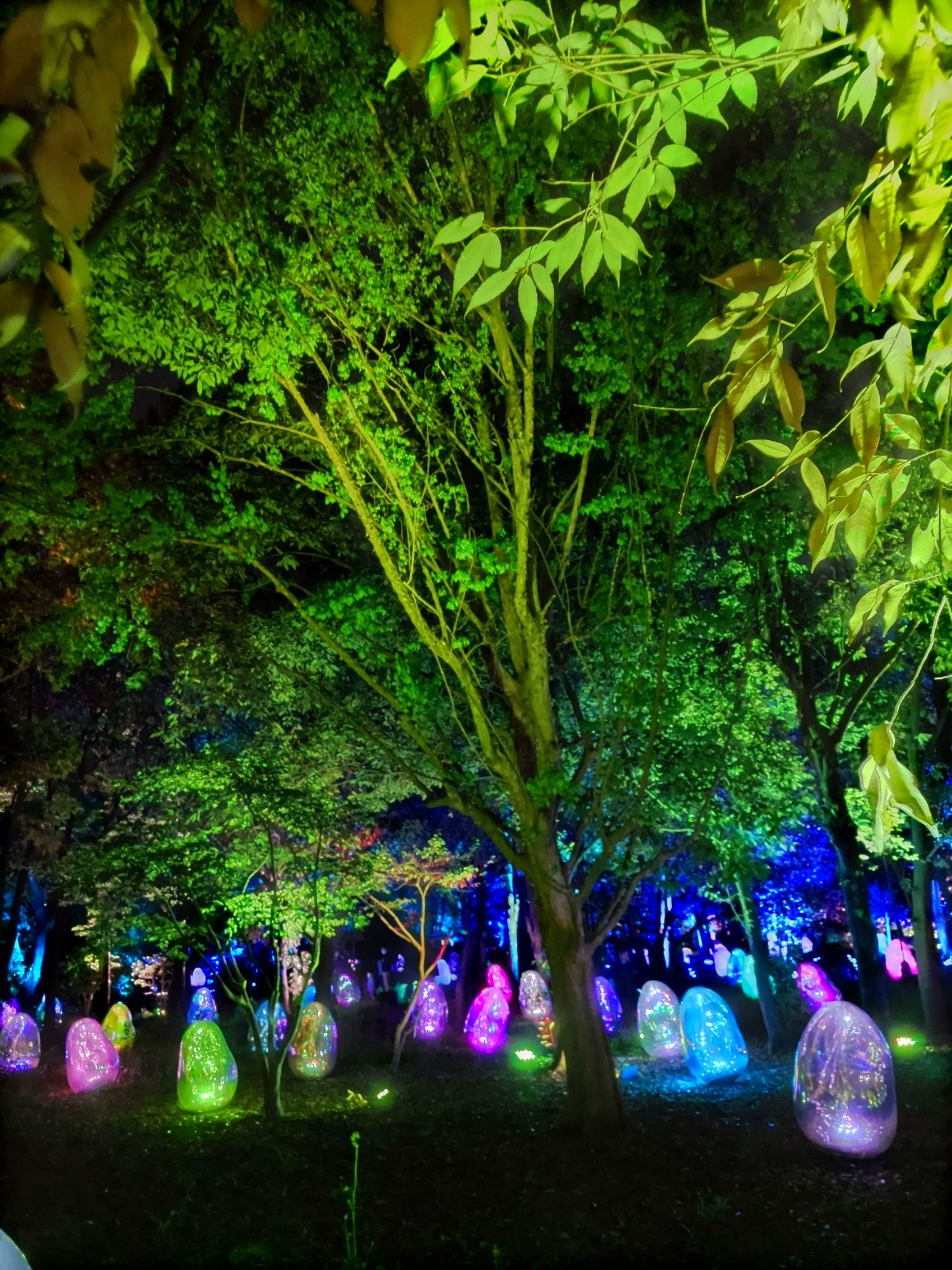 🌿チームラボ ボタニカルガーデン 大阪🌿